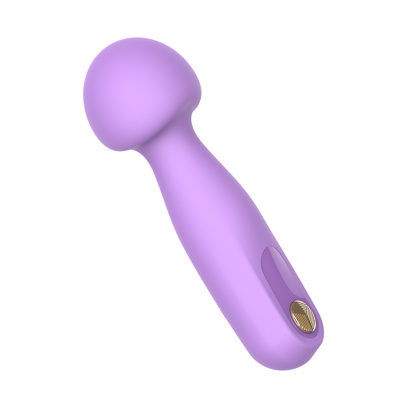 Remote Control Mini-Plug