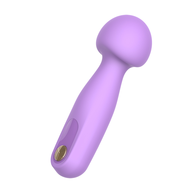 Remote Control Mini-Plug